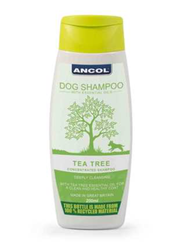 Ancol shampoo top