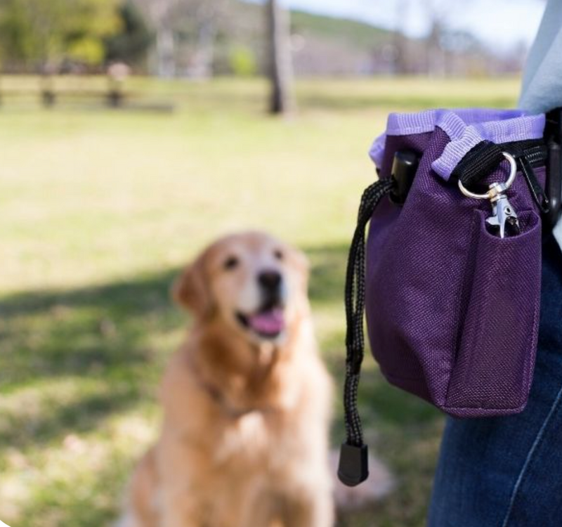 Training Treat Bag