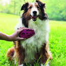 KONG Zoomgroom™ Raspberry