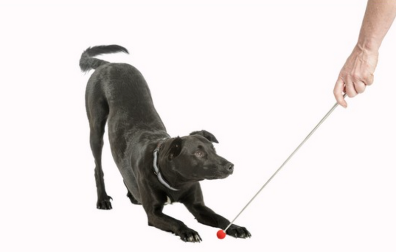 Training Target Stick