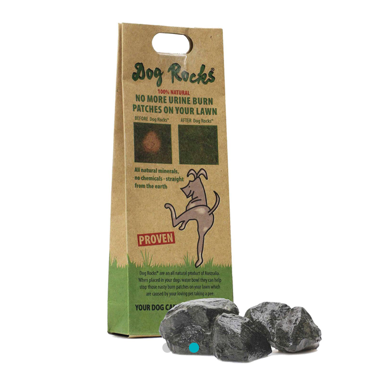 Lawn Protecting Dog Rocks