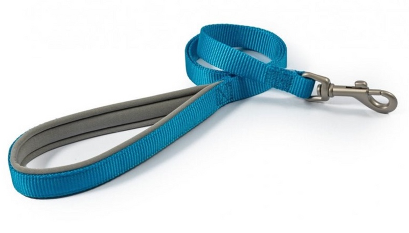 Ancol Viva Padded Dog Lead - Blue - 1.8m x 25mm