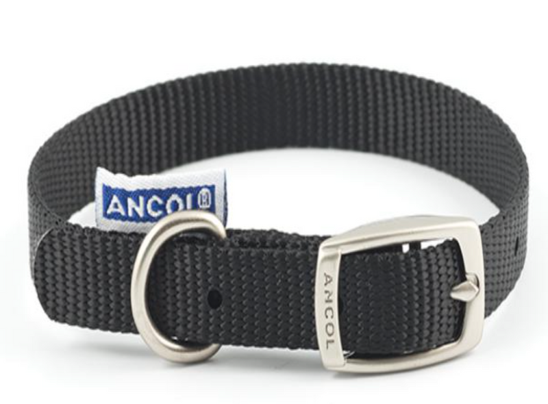 Ancol Viva Black Buckle Collar