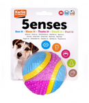 Five Senses Sensory Ball