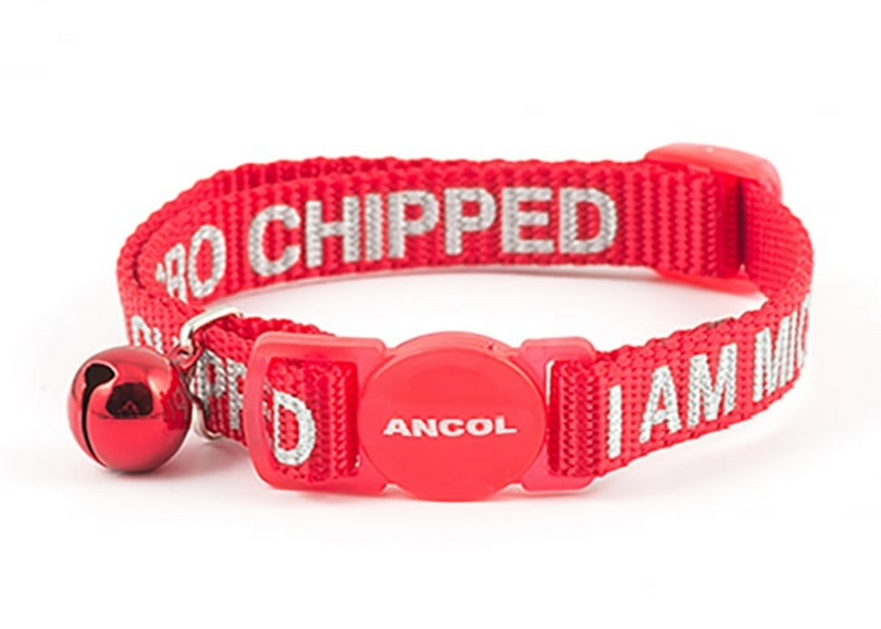 Alert Cat Collar 'Im Microchipped'