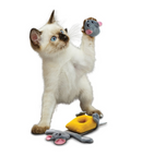 KONG Pull-A-Partz™ Cheezy