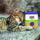 KONG Naturals Catnip 56g