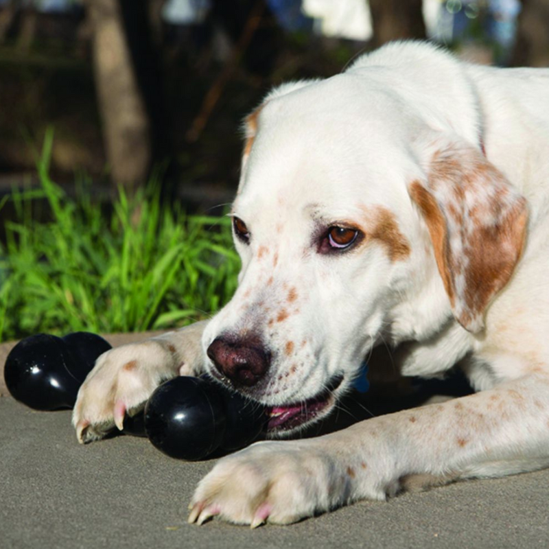 KONG Extreme Goodie Bone