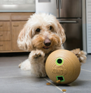 KONG Bamboo Feeder Ball
