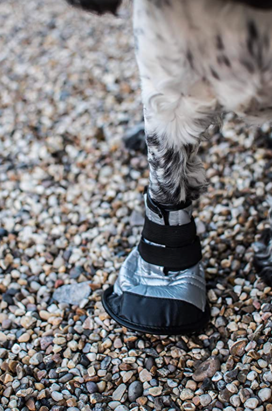 Mikki Dog Protective Boot