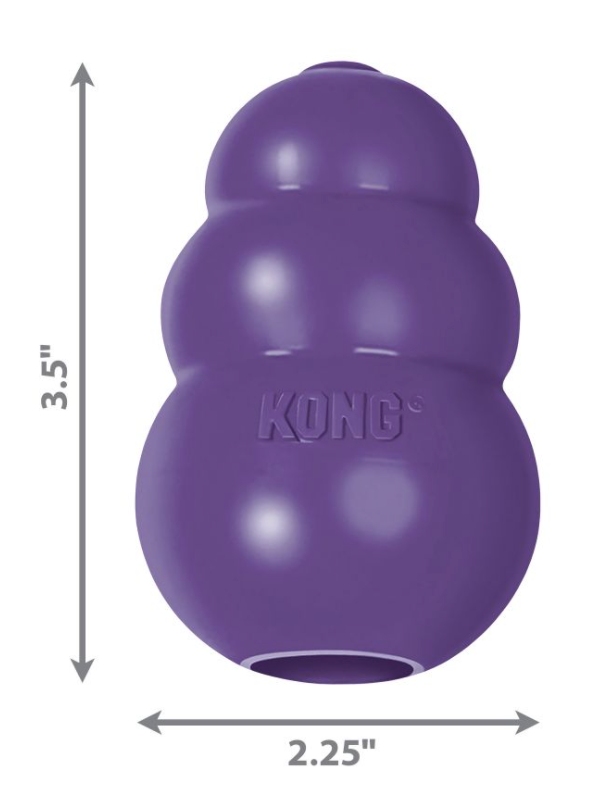 KONG Senior