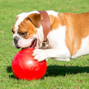 Boomer Ball (Assorted Colours)