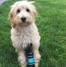 Puppy Fresh Spray, 250ml