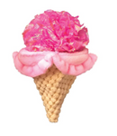 KONG Crackles Scoopz (Assorted)