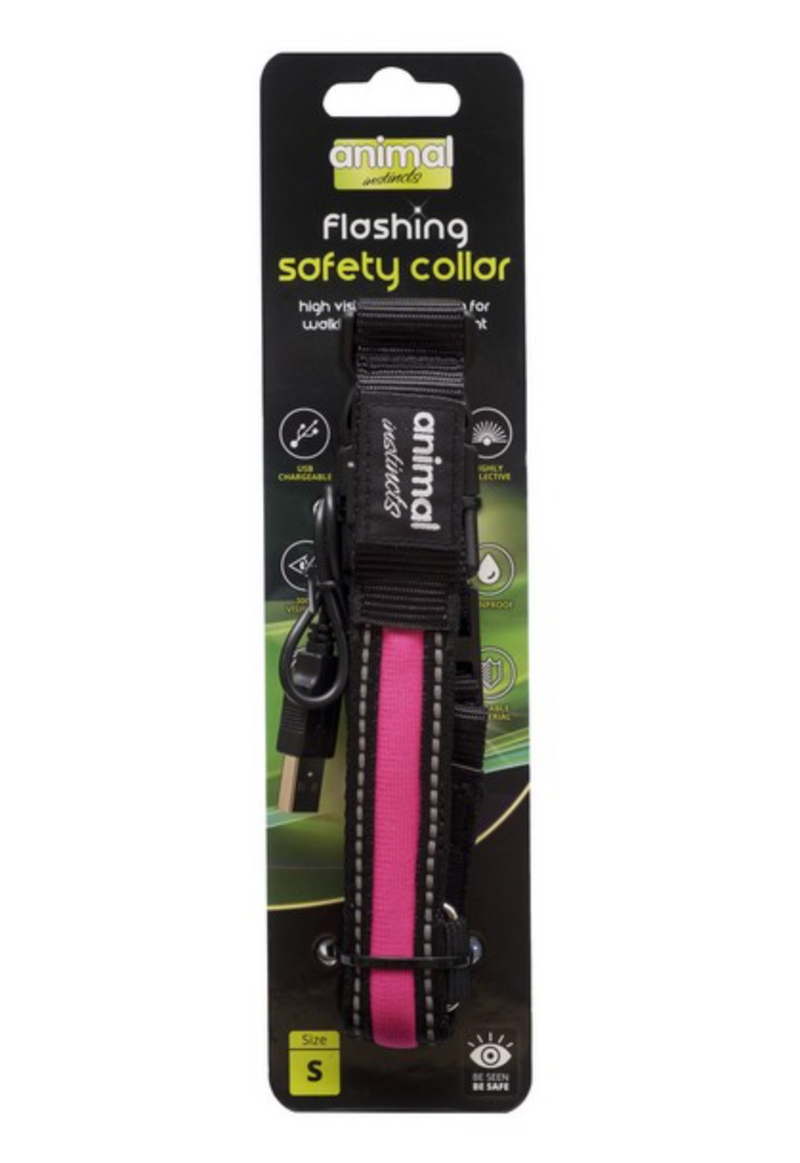 Flashing Safety Collar (Assorted Colours)